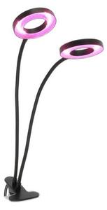 Lampada da tavolo LED Stm flex con clip per piante VITARO 2xLED/4W/230V nera
