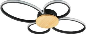 Plafoniera LED SABINA LED/38W/230V Ficus elastica