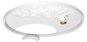 Brilagi - Lampada da soffitto LED dimmerabile ASTRO LED/20W/230V 3000-6000K astronaut+DO