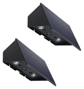 Set di 2 lampade da giardino solari BLINKY, 150 lumen