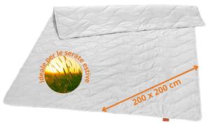 Coperta estiva per letto, 200 x 200 cm, 100% seta naturale, ideale per le notti calde, sleepling