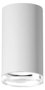 Faretto da bagno dimmerabile LED RGBW TURYN 1xGU10/4,8W/230V IP44 bianco