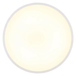 Globo 41566-20W - Plafoniera LED NIELSEN LED/20W/230V 4000K diam. 30 cm bianca