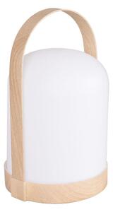 Lampada da tavolo decorativa LED RGBW MINORKA LED/0,3 W/4,5 V 3xAA