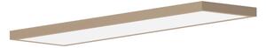 Brilagi-LED FRAME Lampada da soffitto per bagno LED/50W/230V 120x30 cm IP44 Beige