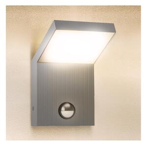 Brilagi - Lampada da parete a LED per esterni con sensore RIANO LED/8W/230V argento