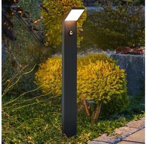 Brilagi - Lampada LED da esterno con sensore RIANO LED/8W/230V antracite IP65 80 cm