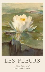 Riproduzione White Water Lily Les Fleurs The Flower Collection