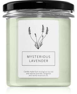 Hagi Mysterious Lavender candela profumata 230 g