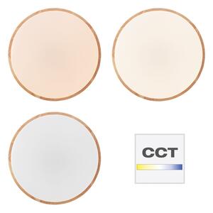 Brilliant - Plafoniera dimmerabile a LED SLIMLINE LED/60W/230V + telecomando