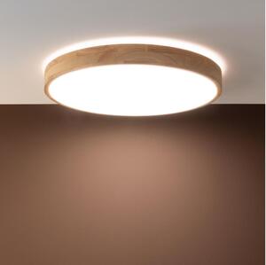 Brilliant - Plafoniera dimmerabile a LED SLIMLINE LED/60W/230V + telecomando