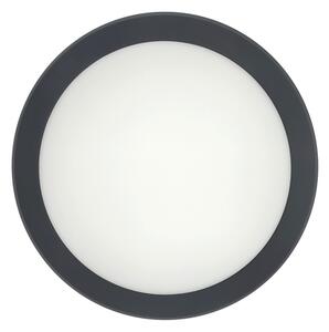 Plafoniera LED con sensore di movimento LED/20W/230V 3000/4000/6500K IP54 antracite
