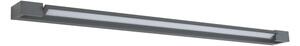 Brilagi-LED Illuminazione per specchio da bagno AQUA LINE LED/36W/230V 120 cm IP44 antracite