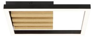 Brilliant - Plafoniera LED dimmerabile CALMA LED/15W/230V nero