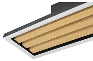 Brilliant - Plafoniera LED dimmerabile CALMA LED/15W/230V nera