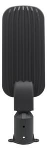 Lampione stradale LED BRELUXO LED/100W/230V 4000K IP65