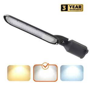 Lampione stradale LED BRELUXO LED/100W/230V 4000K IP65