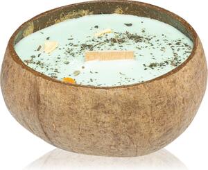 Tropicandle Lime, Basil & Mandarin candela profumata con stoppino in legno 350 ml