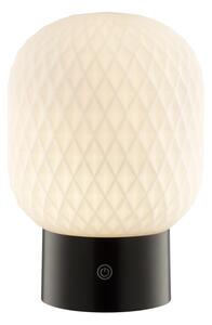 Brilliant -LED RGB dimmerabile ricaricabile a sfioramento lampada da tavolo SARASTRO LED/3W/5V 2700K IP44