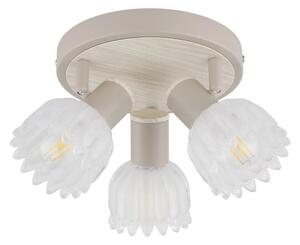 Globo 54317-3 - Faretto PLANTA 3xE14/40W/230V