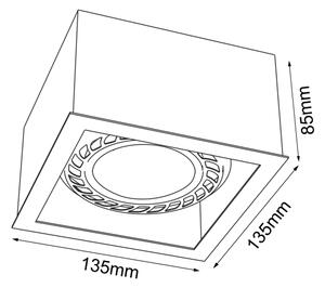 Brosline 1272 - Faretto CAGE 1xGU10/18W/230V bianco