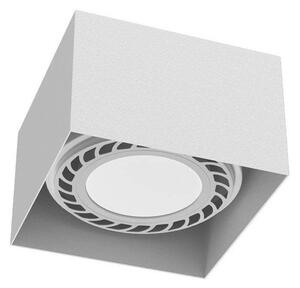 Brosline 1268 - Faretto CAGE 1xGU10/18W/230V bianco