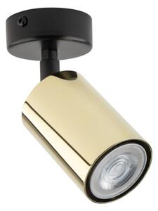 Faretto ZOOM 1xGU10/10W/230V oro/nero