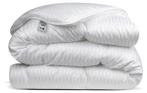 Avenue – Piumone lavabile senza copripiumino – Singolo, dimensioni 240 x 220 cm – Ipoallergenico – Morbido come una nuvola – Bianco – Piumone per tutte le stagioni – Lavabile a 60 °C