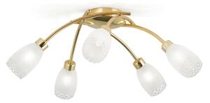 Orion - Lampadario a soffitto CARLA 5xG9/28W/230V dorato