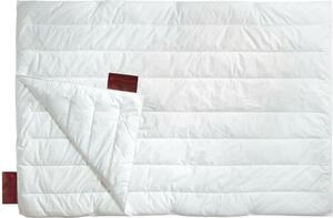 Centa-Star Vital Plus Combi, copripiumino per tutte le stagioni, 135/140x200 cm
