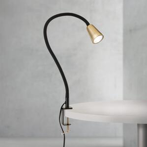Orion - Lampada da tavolo flessibile con morsetto DOTTY 1xGU10/10W/230V ottone/nero