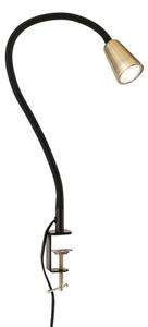 Orion - Lampada da tavolo flessibile con morsetto DOTTY 1xGU10/10W/230V ottone/nero