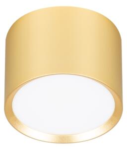 Brilagi - LED Faretto SMOOTH 1xGX53/15W/230V dorato