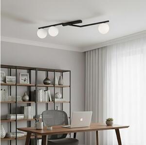 Plafoniera NATON 3xE14/10W/230V nero/bianco