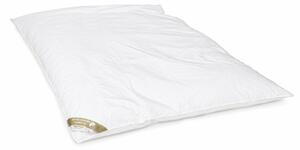 Letti Hofmann - Piumino invernale - Piumino - Piumino a palloncino - 155x220 cm - 2300 g - 60% piumino