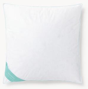 Cuscino medio Comfort