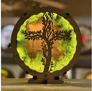 Li-Go 23622/DUB2 - Lampada da tavolo decorativa dimmerabile a LED/12W/230V 20x22 cm rovere