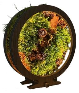 Li-Go 23654 - Decorazione da tavolo LED dimmerabile LED/12W/230V 20x22 cm verde muschio