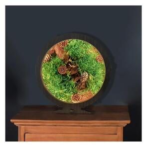 Li-Go 23654 - Decorazione da tavolo LED dimmerabile LED/12W/230V 20x22 cm verde muschio