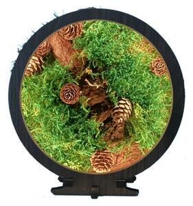 Li-Go 23654 - Decorazione da tavolo LED dimmerabile LED/12W/230V 20x22 cm verde muschio