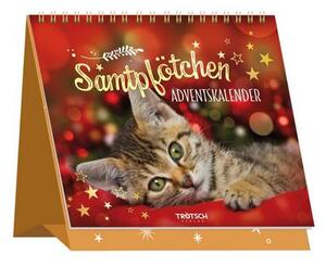 TRÖTSCH - Calendario dell'Avvento "Zampe di Velluto" | Calendario natalizio con 24 citazioni per un Natale contemplativo"