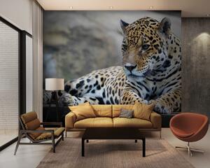 Carta da parati Leopardo sdraiato su una superficie di legno, Carta da parati Gatti, Carta da parati popolare, u55313 - Tapeko.it