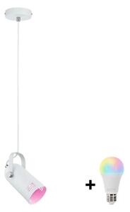 Paulmann 79767 - LED RGBW 1xE27/9W Lampada a sospensione su cavo LAVEA 230V bianco