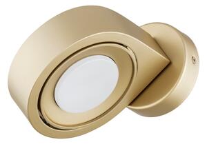 Argon 8899 - Applique da parete LOTUS 1xGX53/12W/230V dorata