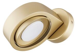 Argon 8899 - Applique da parete LOTUS 1xGX53/12W/230V dorata