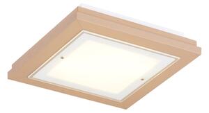 Argon 7267 - Plafoniera TABOR 2xE27/15W/230V 32x32 cm beige