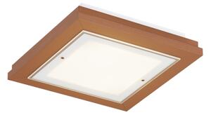 Argon 7268 - Plafoniera TABOR 2xE27/15W/230V 32x32 cm terracotta