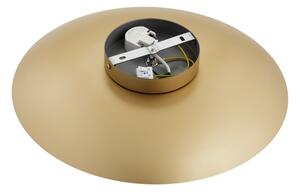 Argon 8865 - Applique LED BOLTON LED/12,5W/230V 3000K dorata