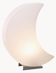 Lampada decorativa a LED in & outdoor Shining Moon