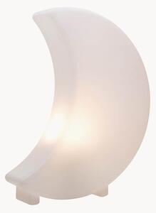 Lampada decorativa a LED in & outdoor Shining Moon